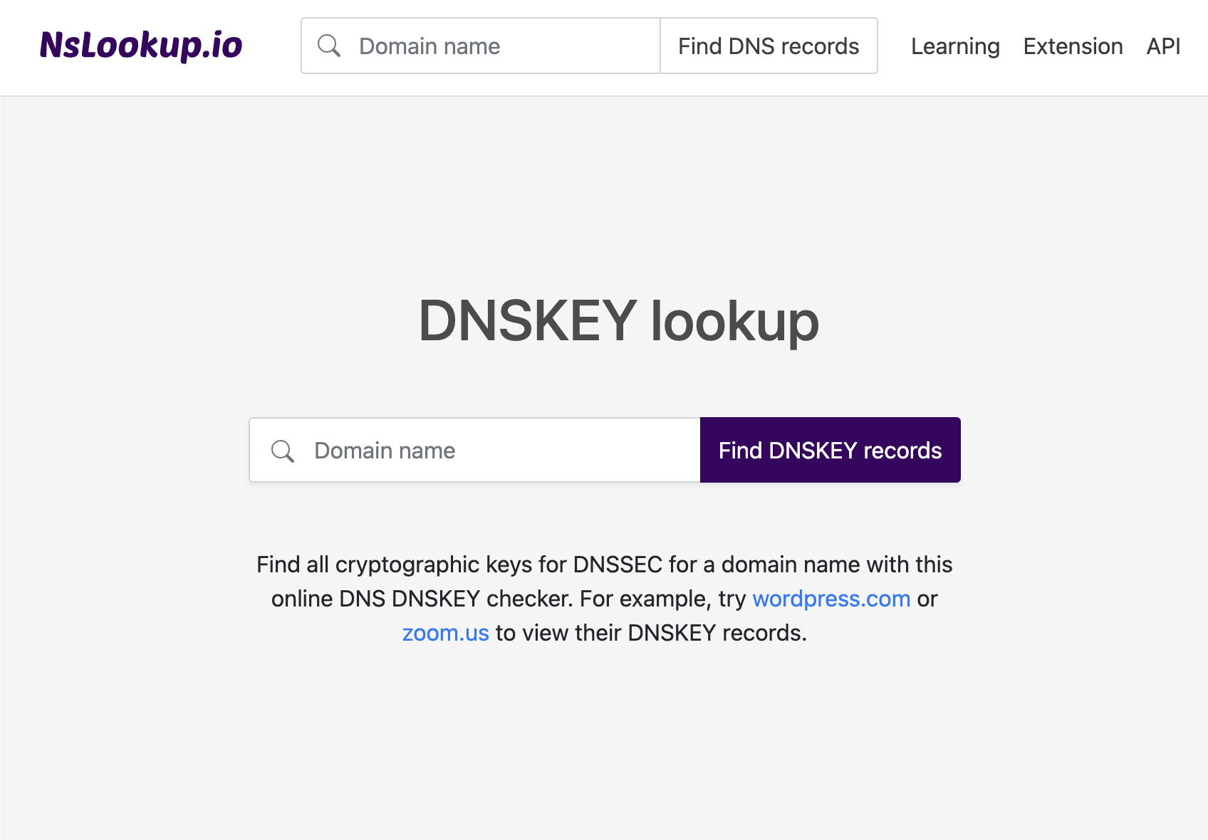 Raycast Store: Dig - DNS Lookup