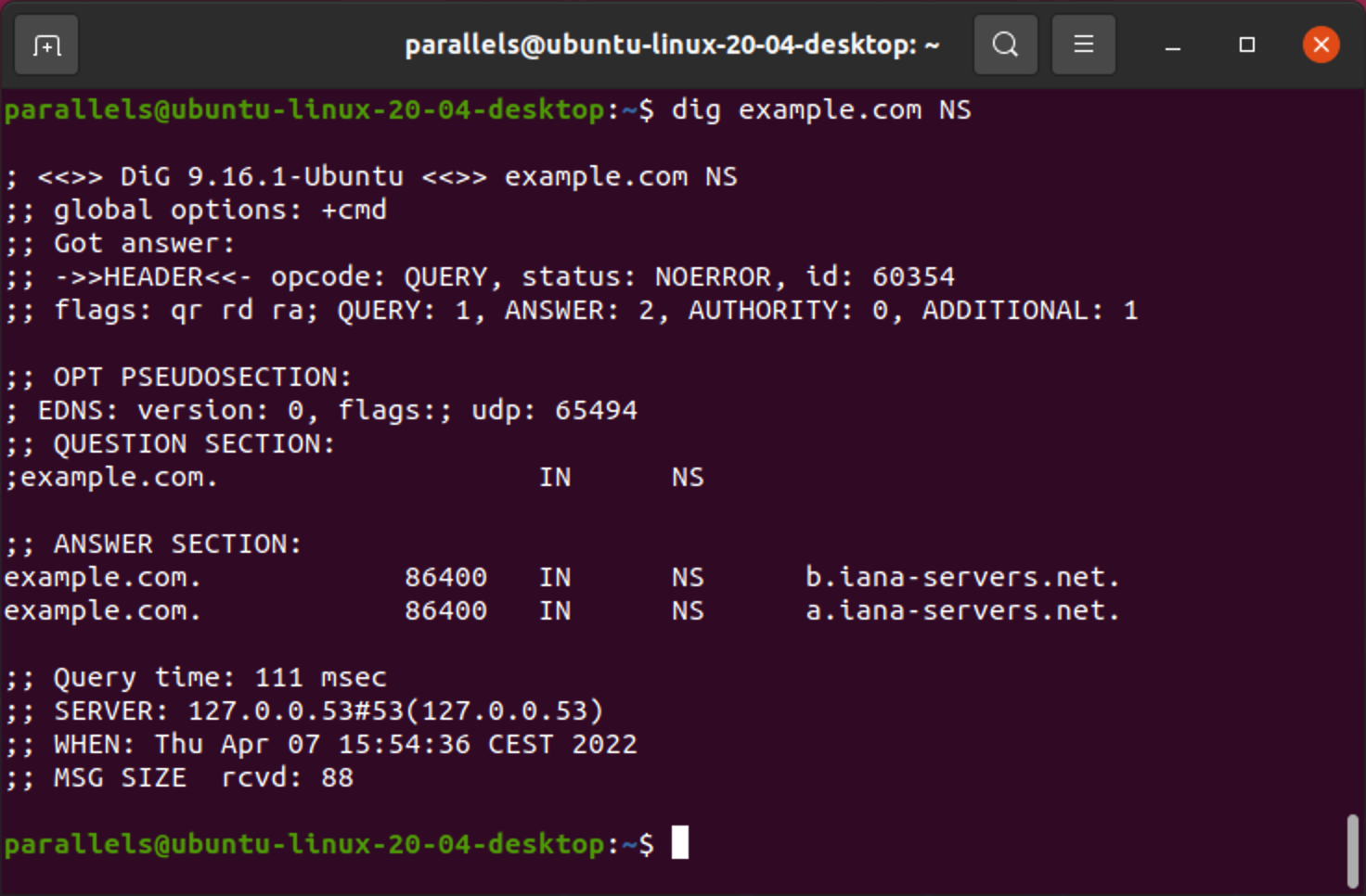 NS lookup in Linux