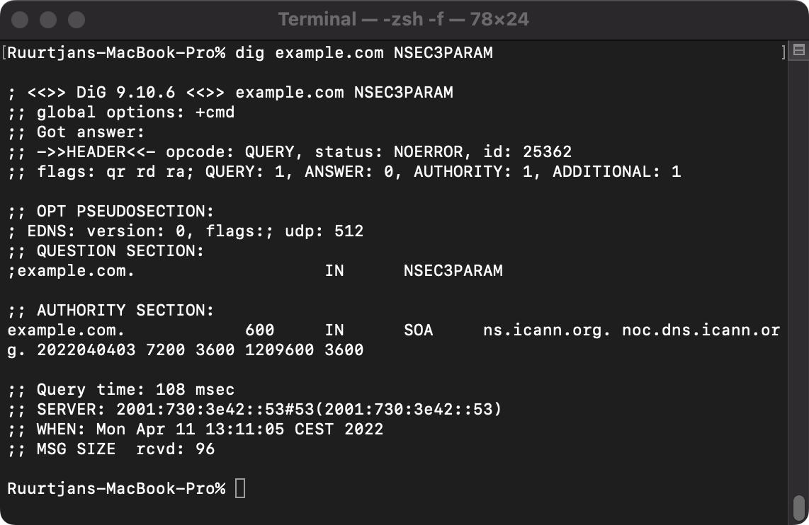 Example output of a NSEC3PARAM lookup query