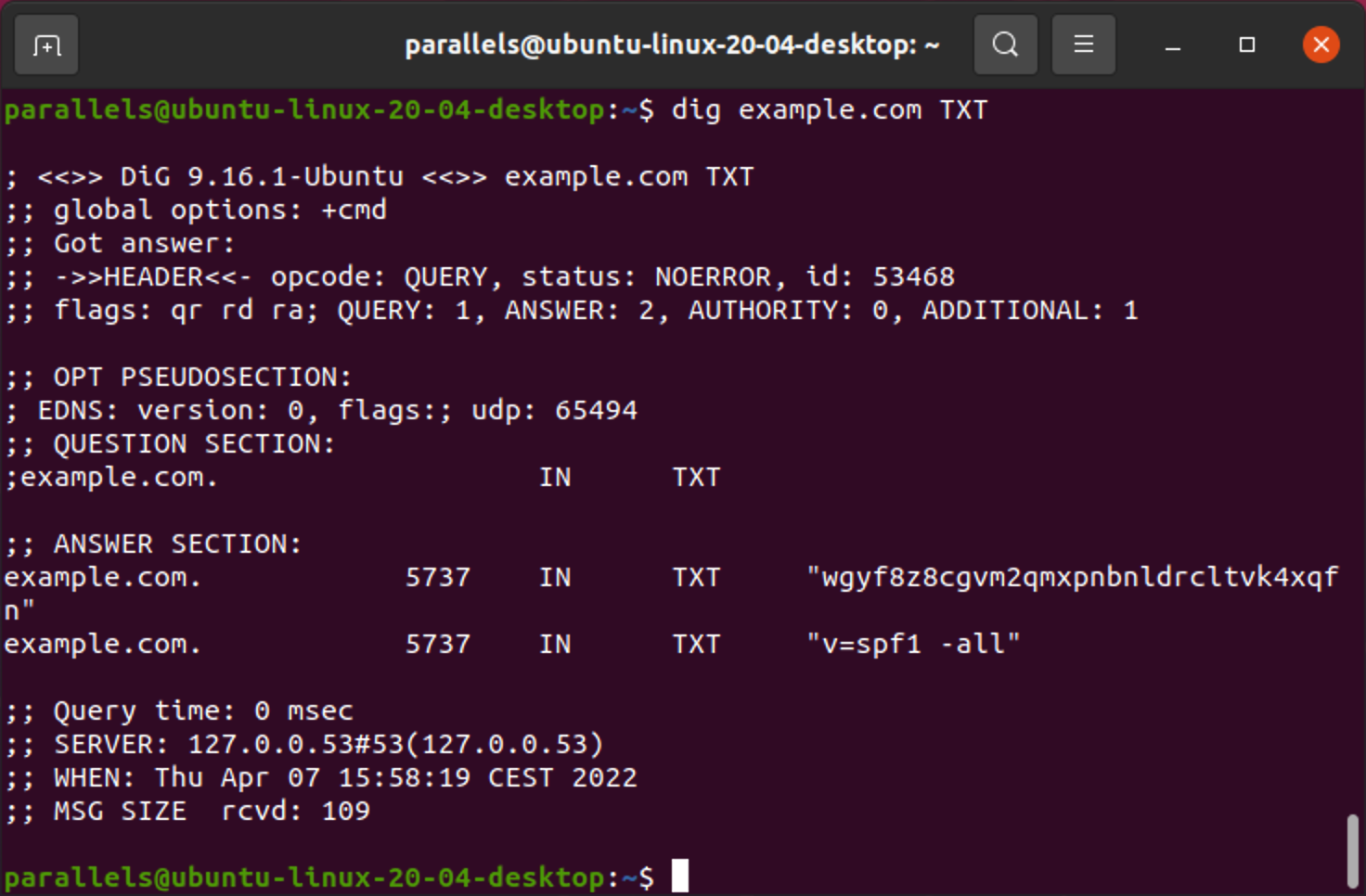 TXT lookup in Linux